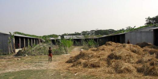 kalapara-abason-pic-020812.jpg