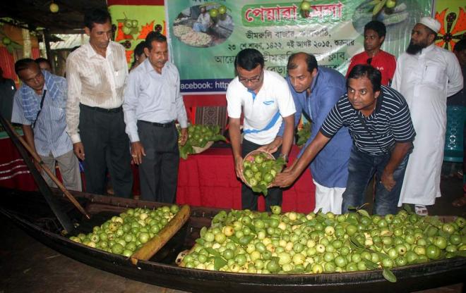 পেয়ারা মেলা