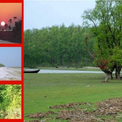 সৌন্দর্যের দ্বীপ চর কুকরী-মুকরী
