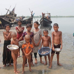 মাছ কুড়ানি শিশুর দল