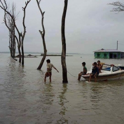 সাংসদের কাছে প্রশ্ন, শাহপরীর দ্বীপের দুর্দশা কবে মিটবে?