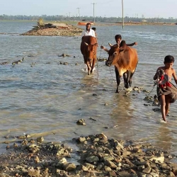 ৪৫ বছরে শাহপরীর দ্বীপের দুই-তৃতীয়াংশ বিলীন!