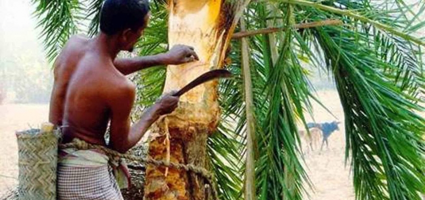 যুগের পরিবর্তনে বিলুপ্ত প্রায় খেজুর রস