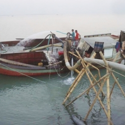 বালু উত্তোলন, ৩ হাজার একর ম্যানগ্রোভ বন হুমকিতে