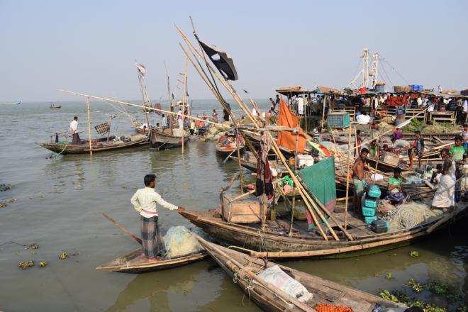 ভোলার ইলিশা মাছঘাটের চিত্র